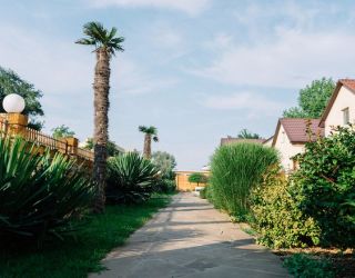 Пансионат "Dublin & Dolphin" / "Дублин и Дельфин"