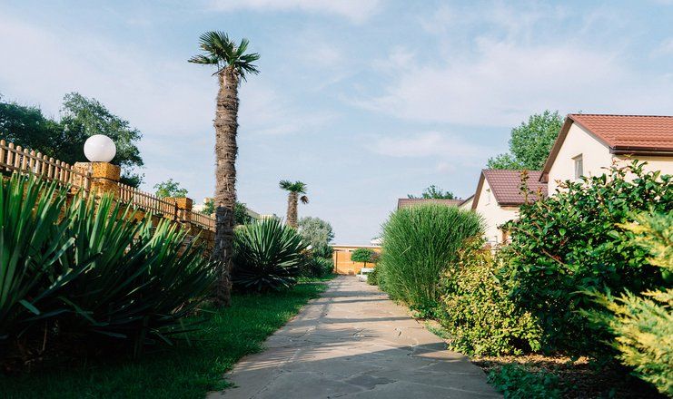 Пансионат "Dublin & Dolphin" / "Дублин и Дельфин"