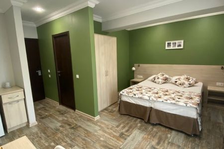 Делюкс 2-местный (с лоджией)